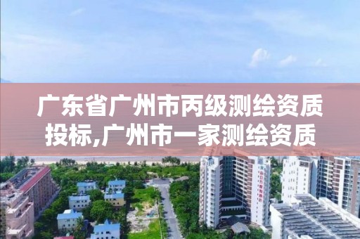 广东省广州市丙级测绘资质投标,广州市一家测绘资质单位