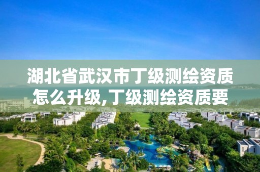 湖北省武汉市丁级测绘资质怎么升级,丁级测绘资质要求