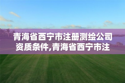 青海省西宁市注册测绘公司资质条件,青海省西宁市注册测绘公司资质条件有哪些