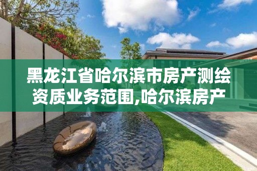 黑龙江省哈尔滨市房产测绘资质业务范围,哈尔滨房产测绘公司