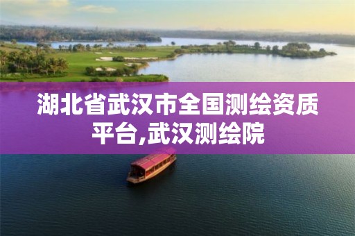 湖北省武汉市全国测绘资质平台,武汉测绘院