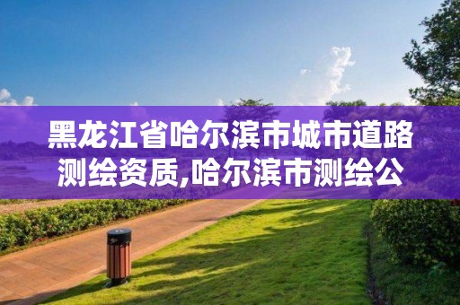 黑龙江省哈尔滨市城市道路测绘资质,哈尔滨市测绘公司。