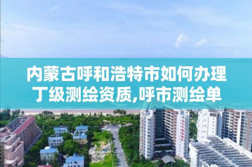 内蒙古呼和浩特市如何办理丁级测绘资质,呼市测绘单位