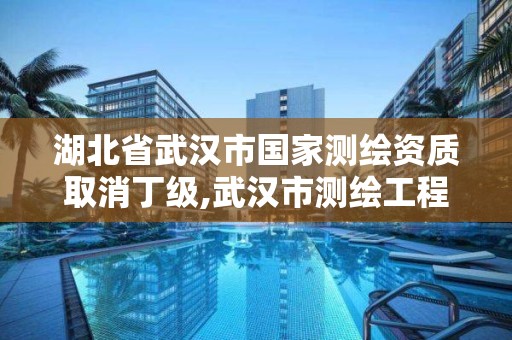 湖北省武汉市国家测绘资质取消丁级,武汉市测绘工程技术规定 湖北省武汉市国家测绘资质取消丁级,武汉市测绘工程技术规定