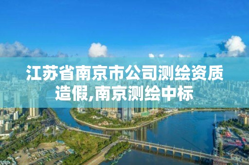 江苏省南京市公司测绘资质造假,南京测绘中标