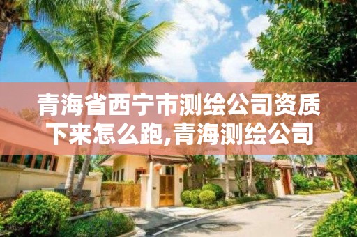 青海省西宁市测绘公司资质下来怎么跑,青海测绘公司有哪些。