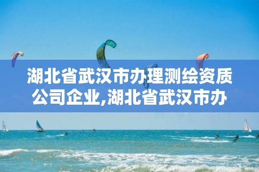 湖北省武汉市办理测绘资质公司企业,湖北省武汉市办理测绘资质公司企业有几家