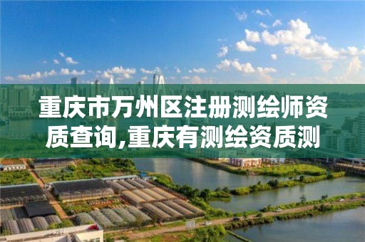 重庆市万州区注册测绘师资质查询,重庆有测绘资质测绘公司大全