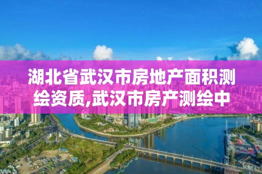 湖北省武汉市房地产面积测绘资质,武汉市房产测绘中心简介。