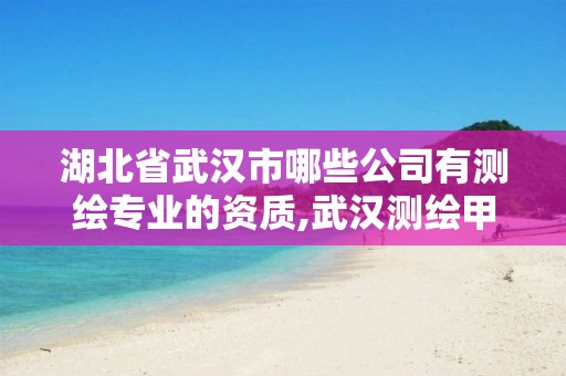 湖北省武汉市哪些公司有测绘专业的资质,武汉测绘甲级资质公司。