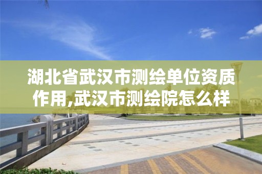 湖北省武汉市测绘单位资质作用,武汉市测绘院怎么样