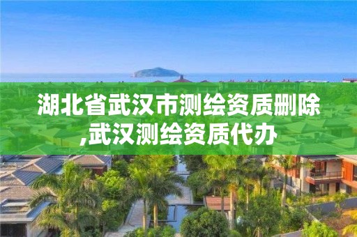 湖北省武汉市测绘资质删除,武汉测绘资质代办