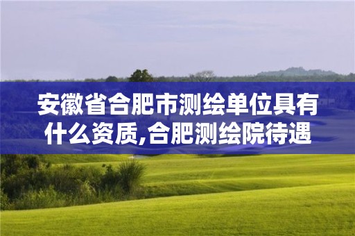 安徽省合肥市测绘单位具有什么资质,合肥测绘院待遇怎么样