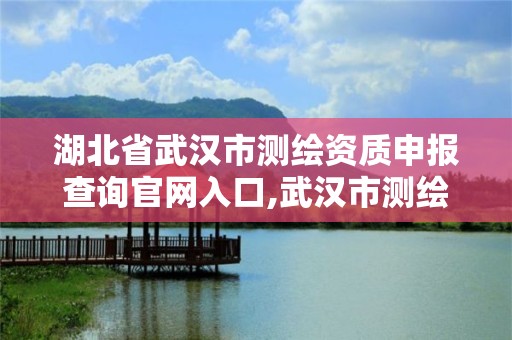 湖北省武汉市测绘资质申报查询官网入口,武汉市测绘工程技术规定。