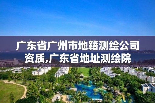 广东省广州市地籍测绘公司资质,广东省地址测绘院