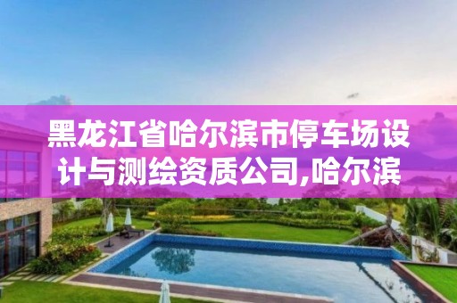 黑龙江省哈尔滨市停车场设计与测绘资质公司,哈尔滨停车场承包。