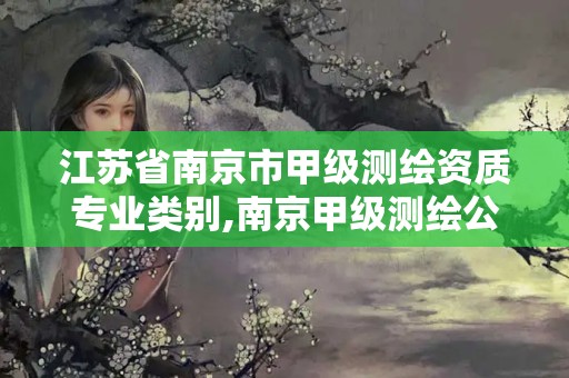 江苏省南京市甲级测绘资质专业类别,南京甲级测绘公司排名