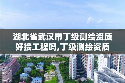 湖北省武汉市丁级测绘资质好接工程吗,丁级测绘资质能承担的业务。