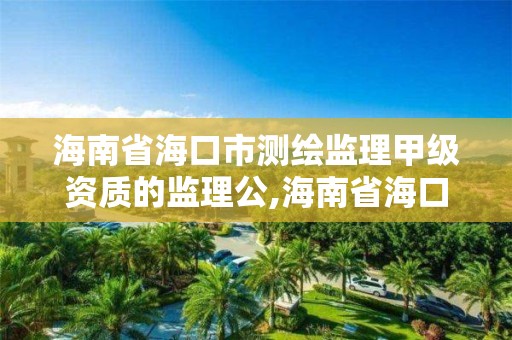 海南省海口市测绘监理甲级资质的监理公,海南省海口市测绘监理甲级资质的监理公司有哪些。