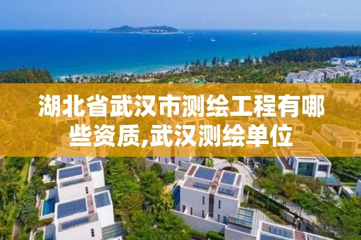 湖北省武汉市测绘工程有哪些资质,武汉测绘单位