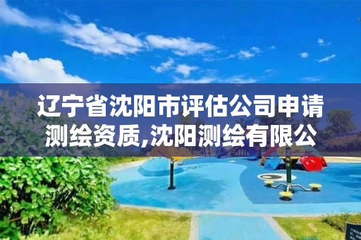 辽宁省沈阳市评估公司申请测绘资质,沈阳测绘有限公司