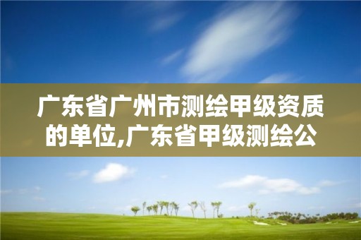 广东省广州市测绘甲级资质的单位,广东省甲级测绘公司