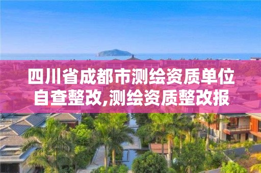 四川省成都市测绘资质单位自查整改,测绘资质整改报告