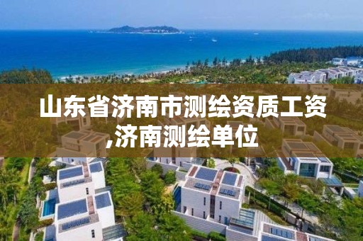 山东省济南市测绘资质工资,济南测绘单位