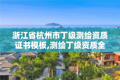 浙江省杭州市丁级测绘资质证书模板,测绘丁级资质全套申请文件。