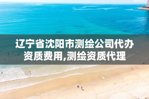 辽宁省沈阳市测绘公司代办资质费用,测绘资质代理