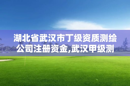 湖北省武汉市丁级资质测绘公司注册资金,武汉甲级测绘资质公司。