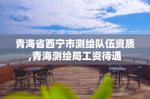 青海省西宁市测绘队伍资质,青海测绘局工资待遇