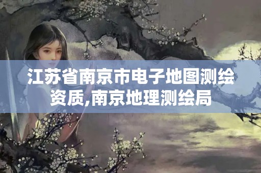 江苏省南京市电子地图测绘资质,南京地理测绘局