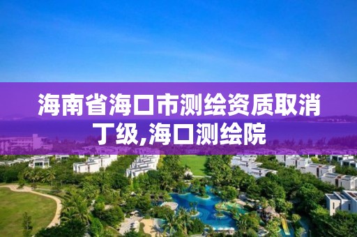 海南省海口市测绘资质取消丁级,海口测绘院