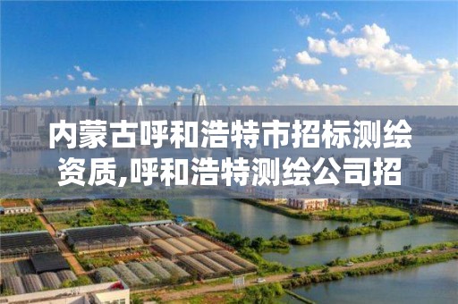 内蒙古呼和浩特市招标测绘资质,呼和浩特测绘公司招聘