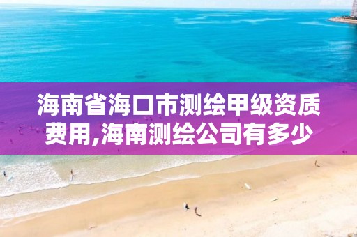 海南省海口市测绘甲级资质费用,海南测绘公司有多少家