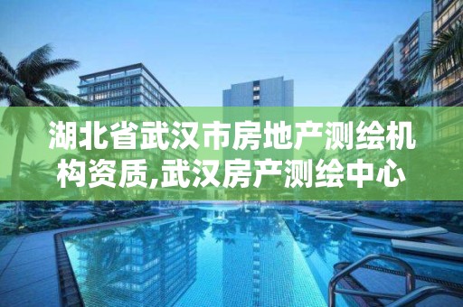 湖北省武汉市房地产测绘机构资质,武汉房产测绘中心有编制吗