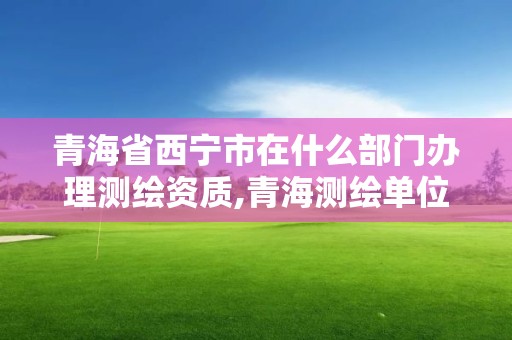 青海省西宁市在什么部门办理测绘资质,青海测绘单位