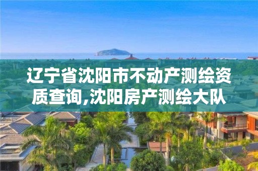 辽宁省沈阳市不动产测绘资质查询,沈阳房产测绘大队。