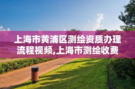 上海市黄浦区测绘资质办理流程视频,上海市测绘收费标准