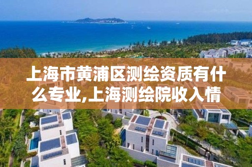 上海市黄浦区测绘资质有什么专业,上海测绘院收入情况