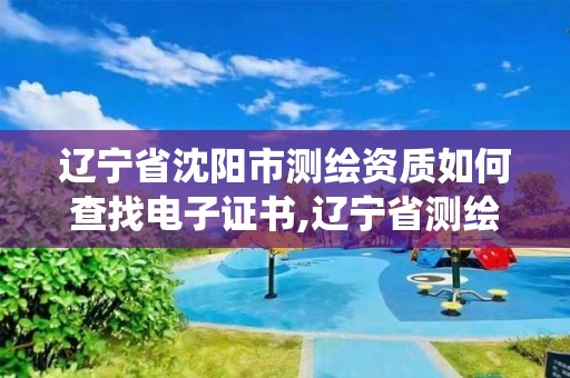 辽宁省沈阳市测绘资质如何查找电子证书,辽宁省测绘资质管理信息系统