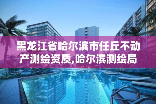 黑龙江省哈尔滨市任丘不动产测绘资质,哈尔滨测绘局电话