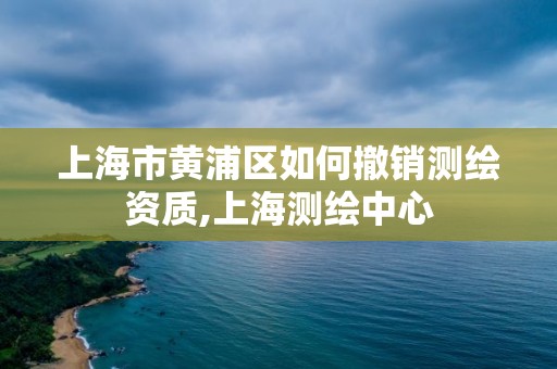 上海市黄浦区如何撤销测绘资质,上海测绘中心