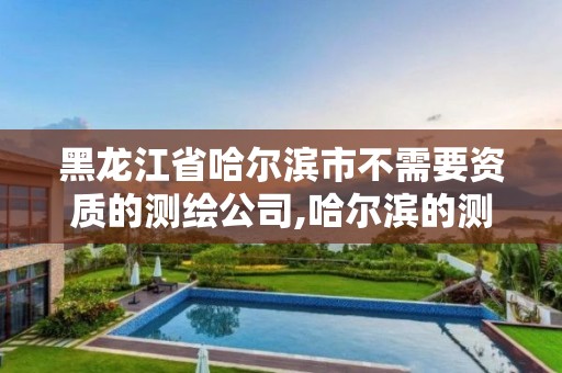 黑龙江省哈尔滨市不需要资质的测绘公司,哈尔滨的测绘公司有哪些。