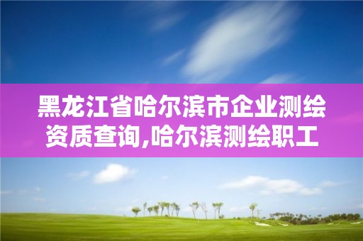 黑龙江省哈尔滨市企业测绘资质查询,哈尔滨测绘职工中等专业学校