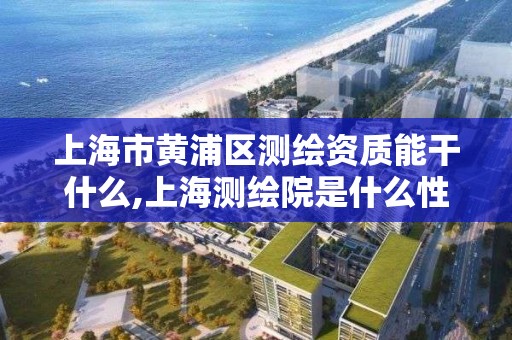 上海市黄浦区测绘资质能干什么,上海测绘院是什么性质的单位