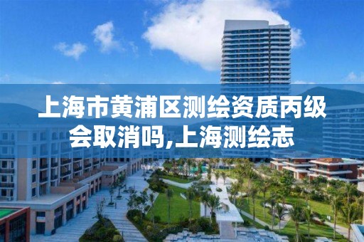 上海市黄浦区测绘资质丙级会取消吗,上海测绘志