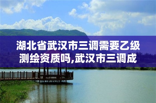 湖北省武汉市三调需要乙级测绘资质吗,武汉市三调成绩。