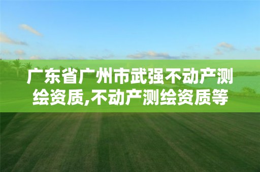 广东省广州市武强不动产测绘资质,不动产测绘资质等级。